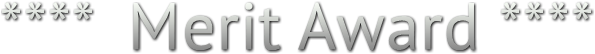 ****  Merit Award **** ****  Merit Award ****